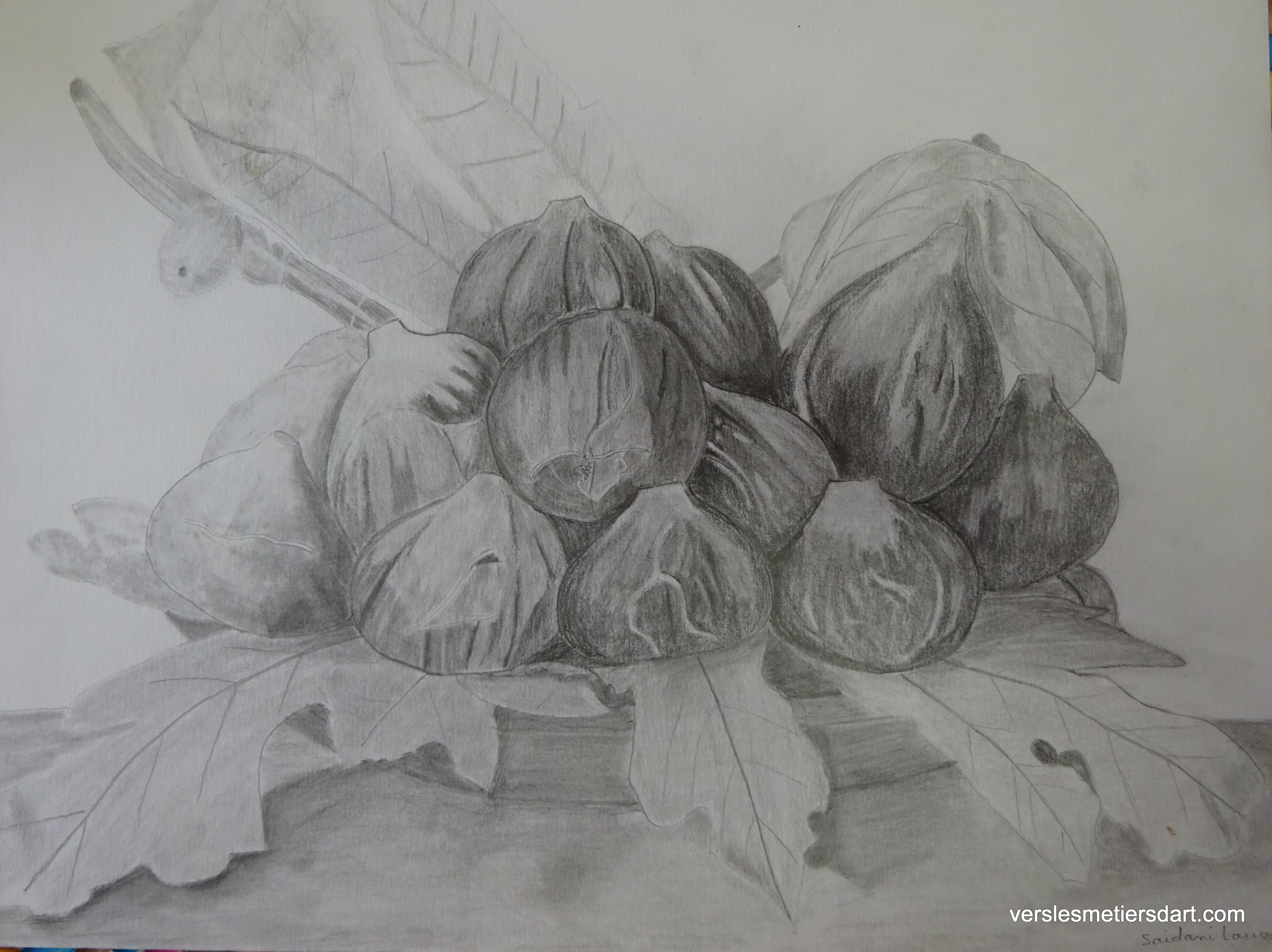 Nature morte aux figues